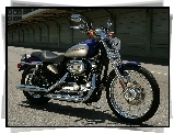 Paliwa, Harley Davidson Sportster XL1200C, Bak