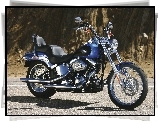 Oleju, Harley Davidson Softail Custom, Chłodnica