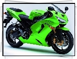 Kawasaki Ninja ZX-6 RR, Zielone