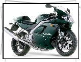 Kolektor, Triumph Daytona 955i, Czacha