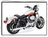 Napędowy, Harley Davidson Sportster 883, Pas