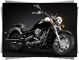 Chrom, Kawasaki VN 900