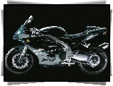 Triumph Daytona 955i