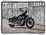 Harley Davidson XL1200N Nightster