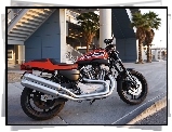 Napędowy, Harley Davidson XR1200, Pas