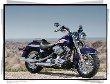 Harley Davidson Softail, Reflektor