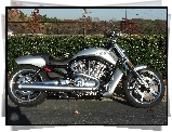 Harley Davidson V-Rod Muscle, Srebrny, Motocykl