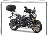 Kufer, Yamaha FZ8, Naked