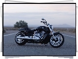 Harley Davidson V-Rod Muscle