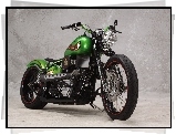 Harley-Davidson, Zabytkowy, Zielony