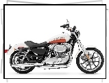 Chrom, Harley Davidson Sportster 883