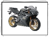 Edycja, Triumph Daytona 675, Specjalna