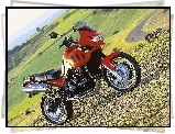 Triumph Tiger 955i