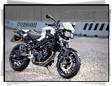 BMW F800R