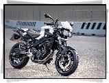 BMW F800R