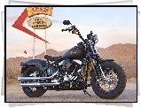 Harley Davidson Softail Cross Bones