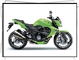 Wydechowy, Kawasaki Z1000, Układ