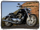 Triumph Thunderbird