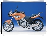 BMW F650CS, Torba, Bak, Na