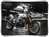 Parking, Yamaha FZ8