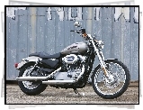 Harley Davidson XL883C Sportster Custom