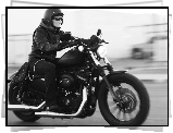 Gatunku, Harley Davidson Sportster 883 Iron, Klasyka