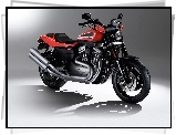 Naked, Harley-Davidson XR1200