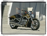 Harley Davidson V-Rod, Oliwkowy