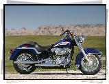 Dekle, Harley Davidson Softail, Chromowane