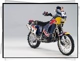 Red Bull, KTM 660 Adventure, Team