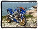 niebieskie, Buell Firebolt XB12R