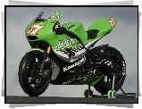 MotoGP, Kawasaki ZX-RR Ninja