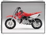 Honda CRF50F