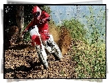 Motocross, Honda CRF450R