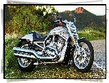 Harley-Davidson, V-Rod