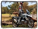 BMW R1200GS, Drzewa, Motocykl, Motocyklista