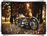 Harley-Davidson