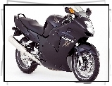 Honda, CBR 1100 XX