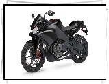 xb12r, Motocykl, Buell