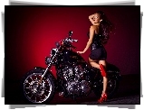 Motocykl, Sportster 883, Kobieta, Harley-Davidson