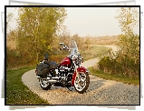 Harley-Davidson Softail Deluxe, 2020