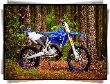 Yamaha YZ125X, Motocykl, Las, Drzewa, Terenowy, 2020