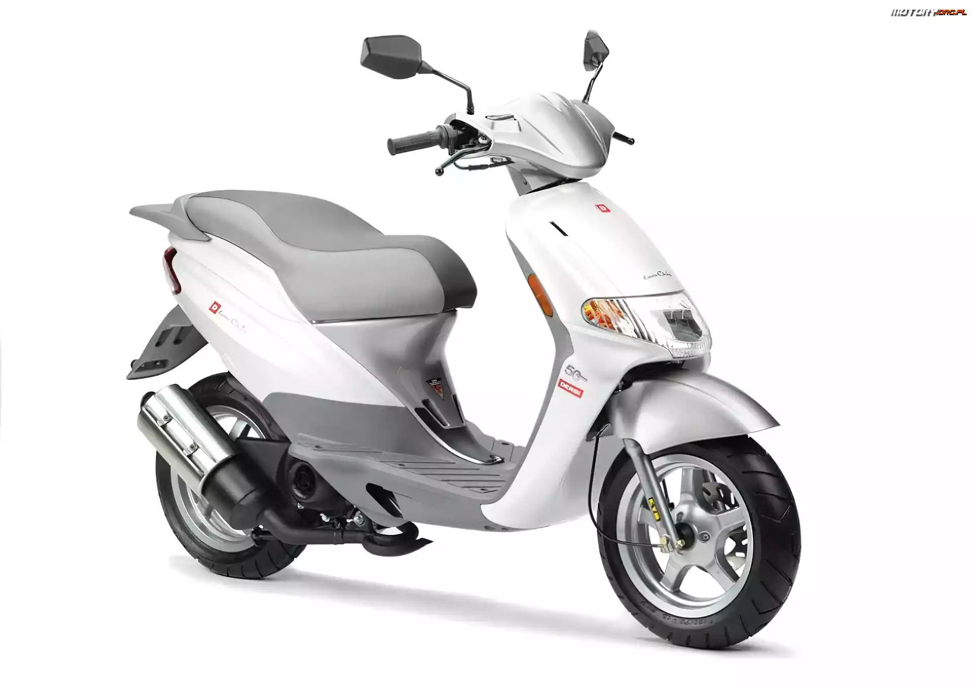 biały, Derbi, 50