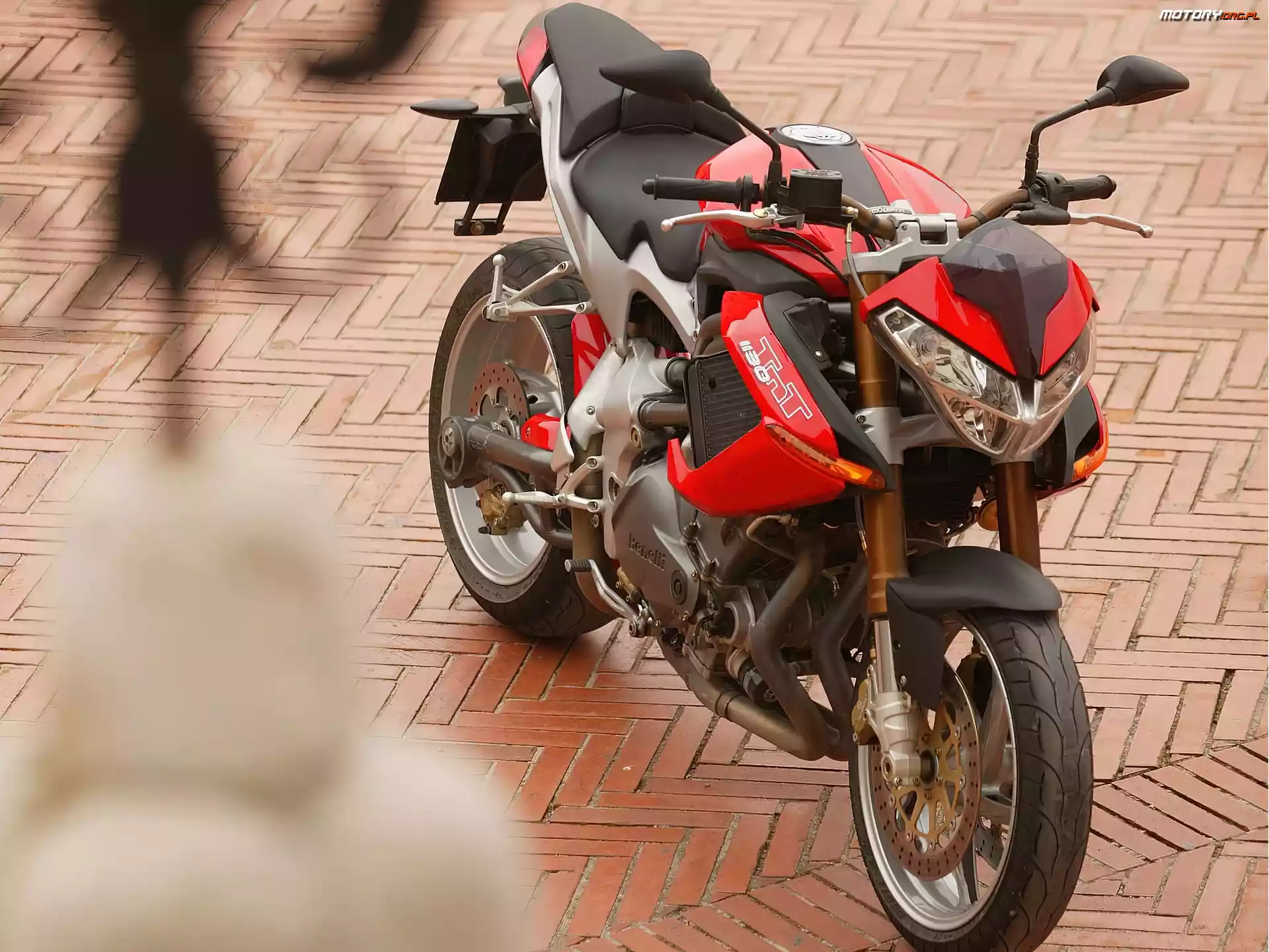 Przednia, Benelli TNT 1130, Lampa