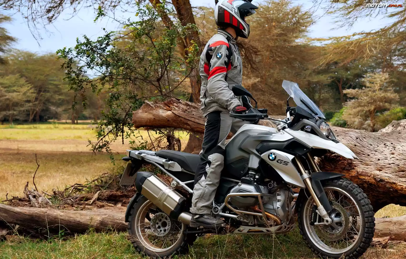 BMW R1200GS, Drzewa, Motocykl, Motocyklista
