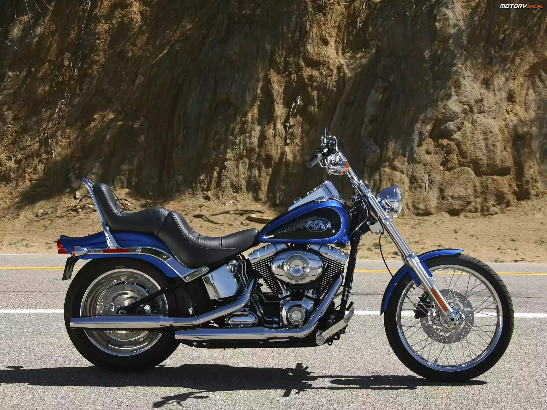 Harley Davidson Softail Custom
, Chopper