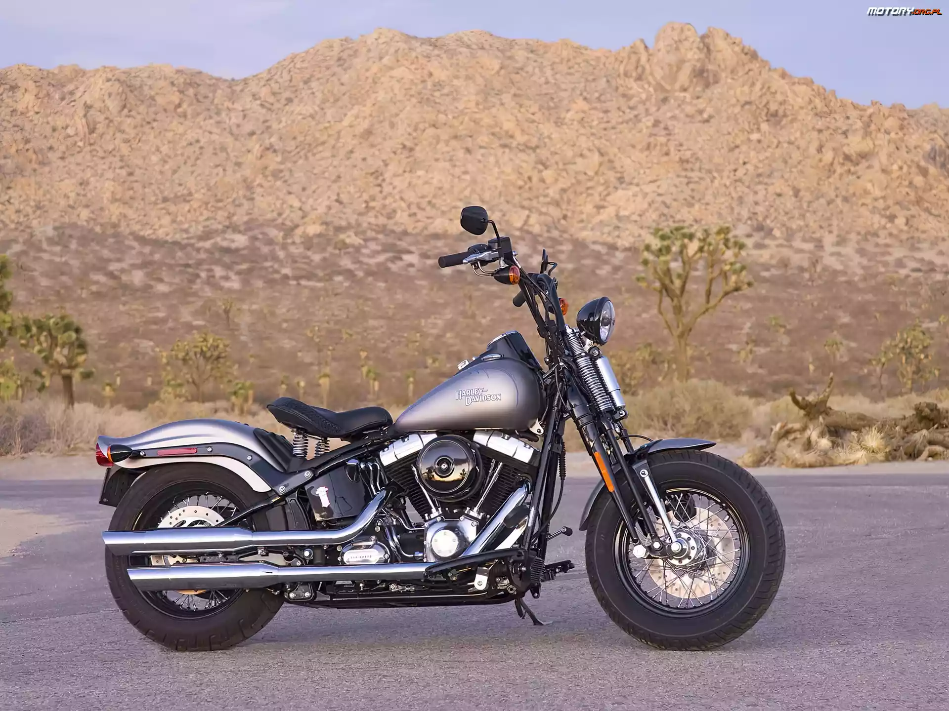 Paliwa, Harley Davidson Softail Cross Bones, Bak