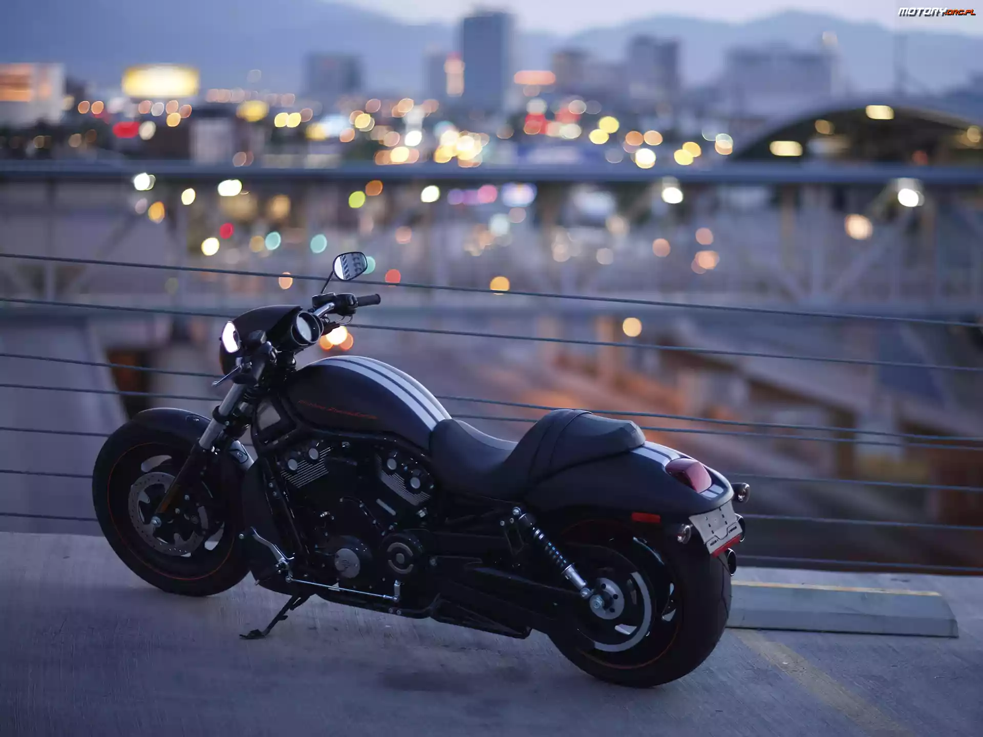Pasy, Harley Davidson Night Rod Special, Białe