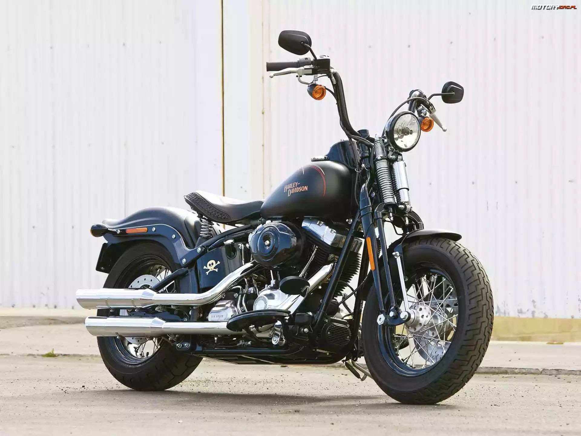 Retro, Harley Davidson Softail Cross Bones
