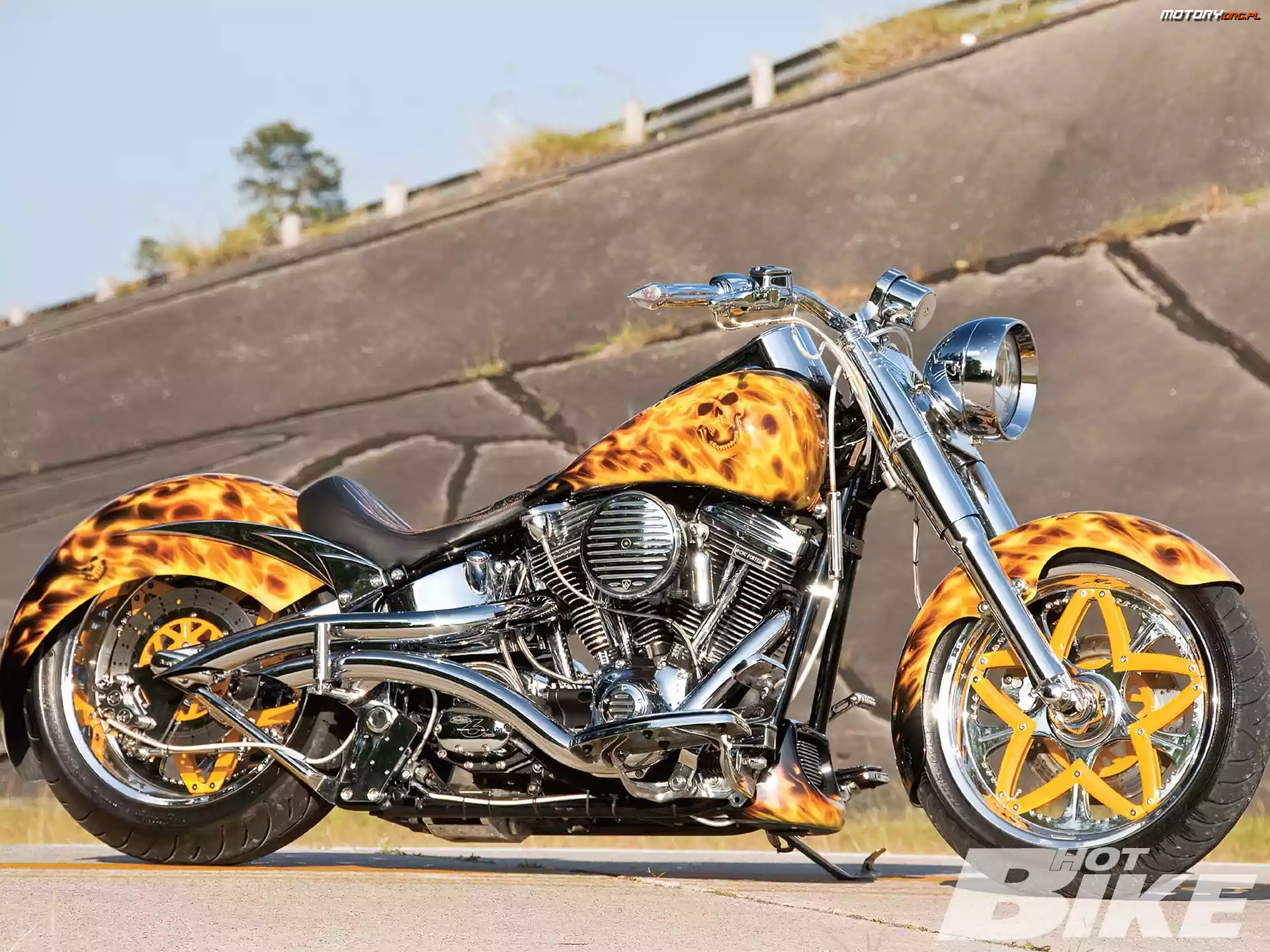 Custom, Harley Davidson Fat Boy